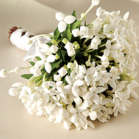 Bouquet para Noivas - Internovias
